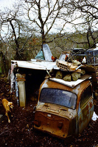 知り合いの大工さんの犬小屋。構造材の一部はトラックのキャビンである。