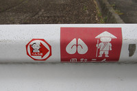 2009年から1年間で、急に保存協会のステッカーなども改訂されてきれいになった。これさえ発見すれば、後は怖いものはない。