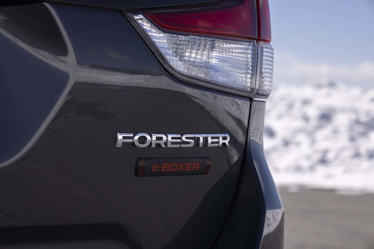 試乗車は内外装にアウトドア向けのアイテムやデザインを採用した「X-BREAK」。車両本体価格は308万円。