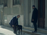 第244回：記憶喪失の男はクラッシュで何を思い出すのか？『林檎とポラロイド』の画像