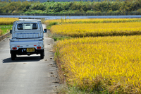 スズキ・キャリイKCエアコン・パワステ（FR/5AT）【試乗記】の画像