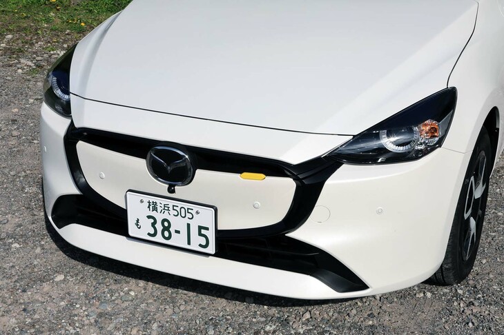 大部分がパネルで埋められたフロントグリルが目を引く顔まわり。左上（写真向かって右上）のドットは、仕様によって色が異なる。