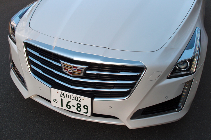 縦型のシャープなヘッドランプや大きなグリルが個性を主張する。