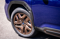 純エンジン車には、ブロンズ塗装を施した10本スポークデザインの19インチホイールが標準で装備される。今回の試乗車は225/55R18サイズの「ファルケン・ジークスZE001A A/S」オールシーズンタイヤを組み合わせていた。