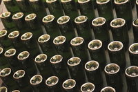 澱（おり）を取り除くため、瓶の口を下にして専用の器具に取り付けて毎日少しずつ回転させる。
    