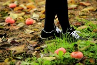 秋の味覚は堪能できたものの、柿園の足元はこんな状態。このままクルマに乗り込んで大丈夫？