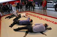 いいおじさんたちが、昼間から寝転がっている。