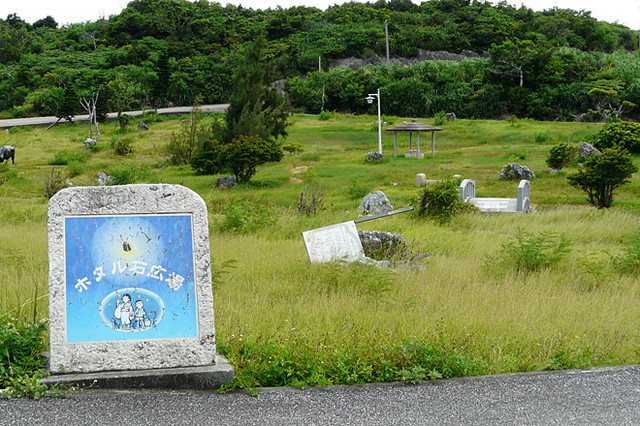 第78回：宮古島からの報告〜サトウキビと“エコ” 【エディターから一言