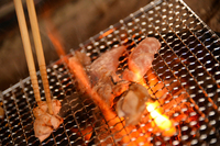 コースは先付け、鶏の炭火焼き、鶏すき、雑炊、水物という構成。炭火焼きでは手羽先、せせり、ささみ、もも、むね、レバー、そして砂肝と、部位ごとの味と食感を存分に楽しめる。 