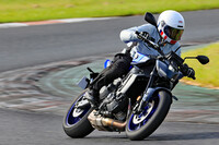 ヤマハでは「Y-AMT」をイージーライディングのための道具というより、「よりライディングに集中してもらうためのデバイス」として訴求している。