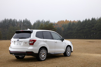 外装色は「クリスタルホワイト・パール」「アイスシルバー・メタリック」「クリスタルブラック・シリカ」「WRブルー・マイカ」の4色で、WRブルー・マイカのみ、2015年2月8日受注分までの期間限定色となっている。
    