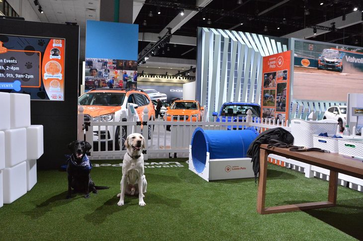 スバルブースの一角（最も目立つホールの入り口前）には、犬とのふれあいを楽しめる特設コーナーが設置されていた。
