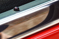 今回の旅での奇跡の一枚。2つの赤い斑紋がキュートなナミテントウ。