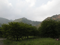 一見するとのどかな里山だが、その裏には、公害の生々しい跡が今なお残っているという。