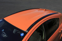 屋根の両端に備えられたルーフモール。装飾部品であり、ルーフレールのような積載能力は備わっていない。
    