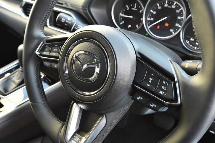 ステアリングホイールのスポーク部には、クルーズコントロールやオーディオの操作スイッチが並ぶ。