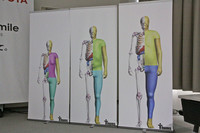 骨格から筋肉、内臓までを忠実に再現したバーチャルな人体解析モデルである「THUMS」のイメージ図。