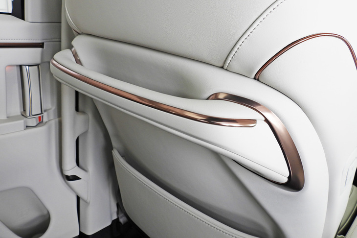 レクサスLM500h“バージョンL”（アシストグリップ）