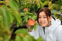 「柿の季節は医者いらず」などといわれるほど柿は栄養価が高いのだ！ 定かではないが、美肌効果にも期待!?