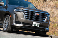 「スポーツ」のフロントグリルがメッシュタイプなのに対し、「プラチナム」は横桟タイプのデザインとなる。両モデルともに、2022年モデルでは状況に応じて照射範囲を自動制御する「インテリジェントマトリックスLEDヘッドライト」が採用されている。