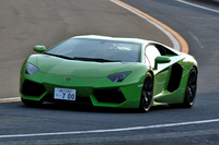 パワーウェイトレシオは2.25kg/ps（車重は1575kgで計算）、0-100km/h加速は2.9秒と発表されている。ちなみにステアリングのロック・トゥ・ロックは2.9回転。