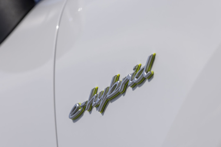 アウトラインがアシッドグリーンで塗られた「e-hybrid」と「Cayenne」のバッジは無償で選べるオプション。