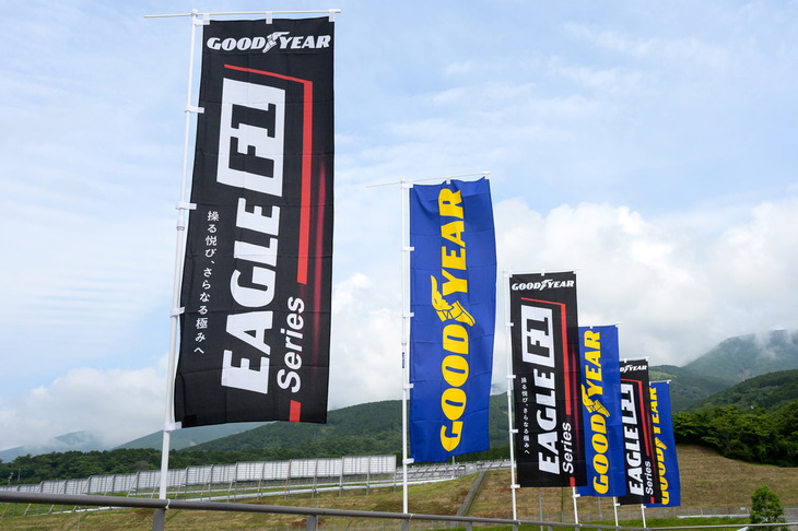 タイヤの販売で世界シェア3位につける米グッドイヤー。日本でも豊富な製品をラインナップしているが、乗用車用のサマータイヤを見ると、コンフォート系の「エフィシェントグリップ」シリーズと、パフォーマンス系の「イーグル」シリーズの2系統に分類される。