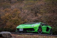 「ALA」の採用や、前面から取り入れた空気をフロントバンパー上部から排出するなどの空力改善策を施し、「アヴェンタドールSV」比で、前後軸ともに40％ダウンフォースの向上を果たしている。