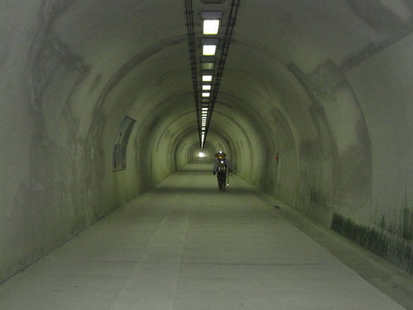 第5回 走ること 歩くこと その2 トンネルなんか怖くない ニッポン自動車生態系 Webcg