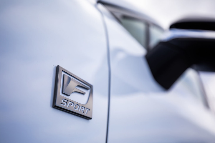 NX350“Fスポーツ”（エンブレム）