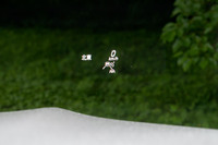 細かいところでは、ヘッドアップディスプレイが全車標準装備となったのも、2021年秋の改良のトピックだ。