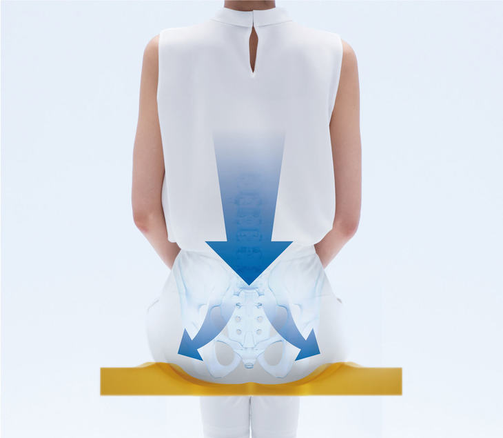 エクスジェルの骨盤サポート効果の解説図。上半身の荷重から骨盤にかかる圧力を、薄くても底付きなくエクスジェルが分散してくれる。