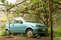 この170型は「FIAT Cinquecento」とアルファベット表記され、トポリーノ以来の系譜とは区別されている。だが、会話のなかではとっさに判別しにくい。