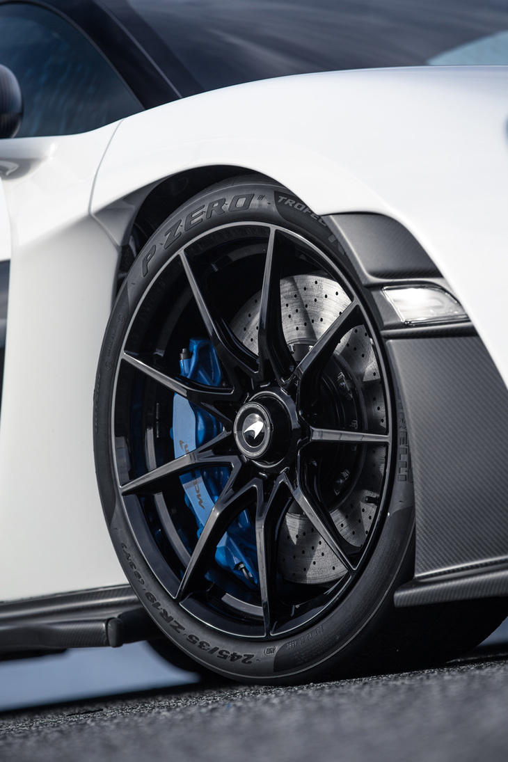 タイヤには、同車専用設計の「ピレリPゼロ トロフェオR」が採用されている。