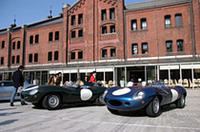 1955年から57年にかけてルマンを3連覇したDタイプ。左のブリティッシュ・レーシング・グリーンは55年式、右のメタリックブルーは57年式。エンジンは3.5リッターのXKユニット。