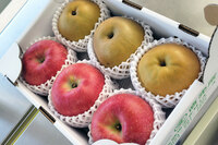 わが家に送った梨とリンゴ。軒先で試食させてもらったけど、なんというか、魂が洗われるおいしさだった。