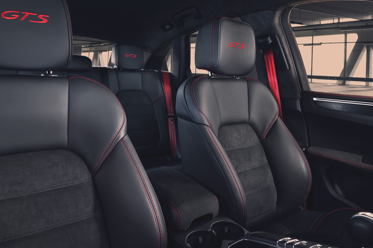 シートのヘッドレスには「GTS」のロゴが入る。