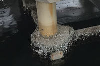 老朽化した東品川桟橋の橋脚部。