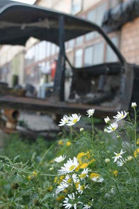 第23回：8月22日「再び西へ向かって」の画像