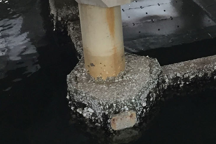 老朽化した東品川桟橋の橋脚部。