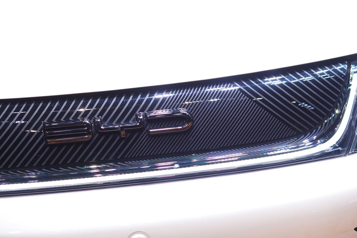 BYDドルフィン（フロントのエンブレム）