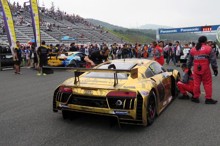 コース上に並んだレーシングカーを間近に見られるグリッドウオークの様子。