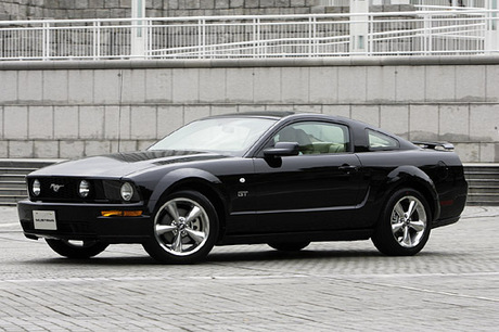 ���ɓ��{�ɓ��������u�t�H�[�h�E�}�X�^���O�v�B�`���I�ȃt�H������Z�����A�����J���E�}�b�X���J�[����...