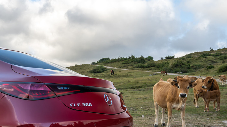 「パタゴニアレッド」のボディーカラーが鮮やかなこの試乗車は「CLE300 4MATIC」。以下、断りがない場合はすべてこの車両の写真。