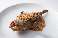 「国東的良鬼（三島フグ“国東の鬼” 四川名菜 干焼魚）」。国東で三島フグと呼ばれるミシマオコゼは高温で揚げると、まるで鬼のように角が立つ姿が面白い。弾力のある白身が美味。