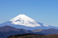 そのスジでは、自動車に使われるワイヤハーネスの総延長は、富士山の標高を超えると「それは長いねえ！」と言われるのだとか。……バイパーは作りがカンタンだから、高尾山くらいかしら？