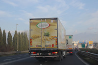 （写真B）。ここからはいよいよイタリア。北部ラヴェンナを本拠とする業務用冷凍パスタブランド、スルジタルのトラック。