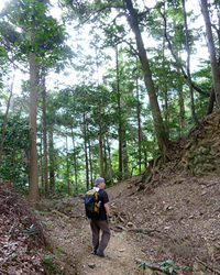 第11回：八王子城跡と城山トレッキング（その2）高尾山よりも本格的!?の画像