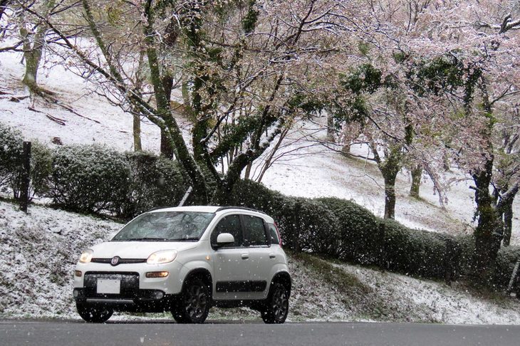 長らく編集部の足として活躍してきた「フィアット・パンダ4×4」は、ワタナベ女史のマイカーとなる予定だ。写真は、季節外れの雪が降った4月10日に箱根で撮影したもの。満開の桜に雪が降り積もる様が芸術的である。