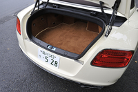 ラゲッジルームの容量は260リッター。試乗車にはオプションのスキーホールが備わっていた。